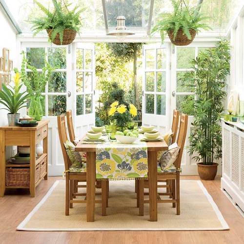 Small Conservatory Plants